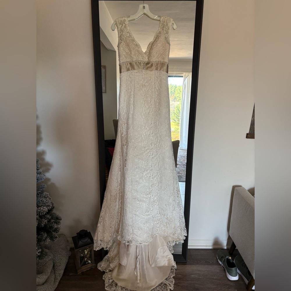 David’s Bridal Wedding dress